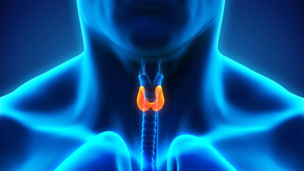 A man with normal thyroid