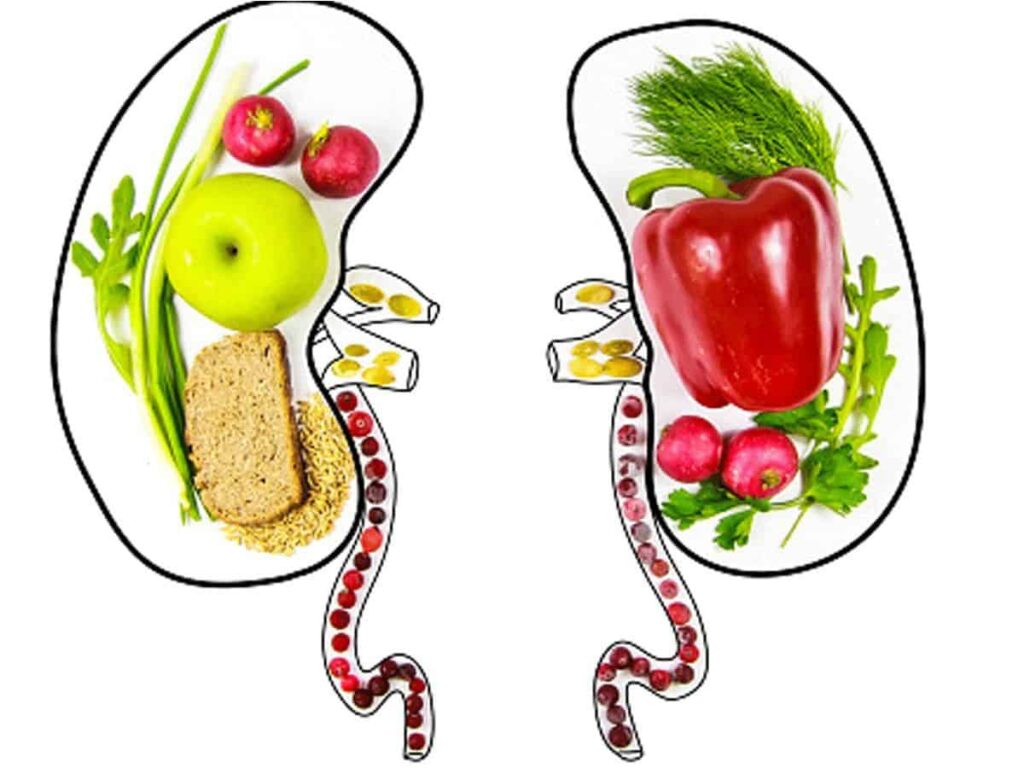 Diet Plan for Kidney Patient